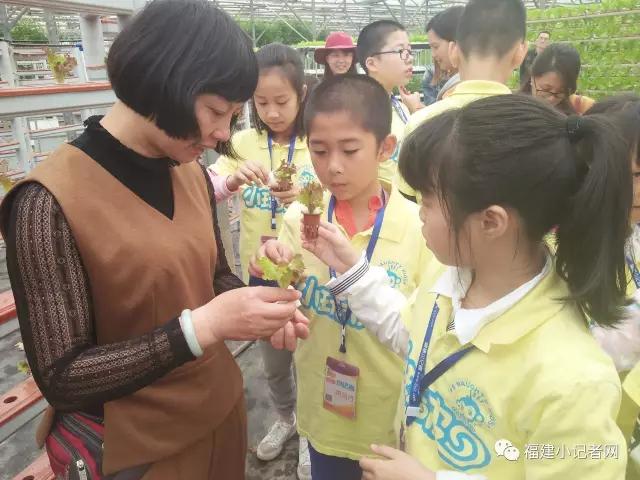 【圍觀】福建小記者走進農場體驗農耕樂趣