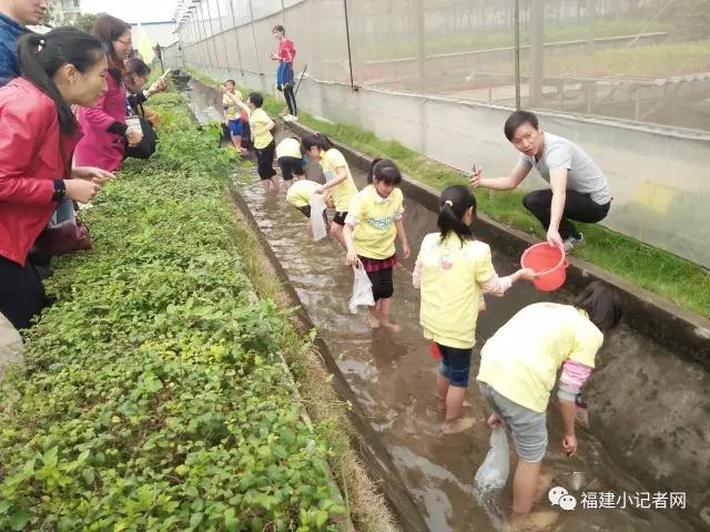 【圍觀】福建小記者走進農場體驗農耕樂趣