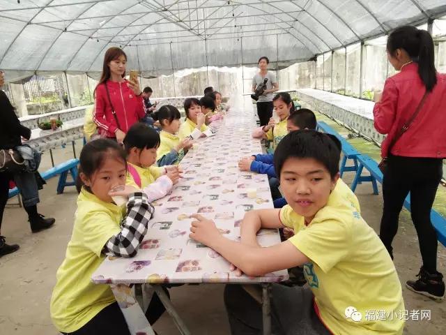 【圍觀】福建小記者走進農場體驗農耕樂趣
