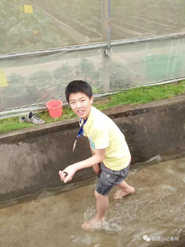 【圍觀】福建小記者走進農場體驗農耕樂趣