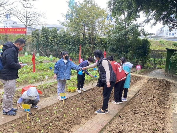 “小種植 大收獲”志愿科普農場種植體驗活動簡報