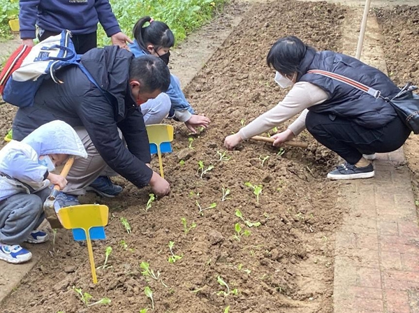 “小種植 大收獲”志愿科普農場種植體驗活動簡報
