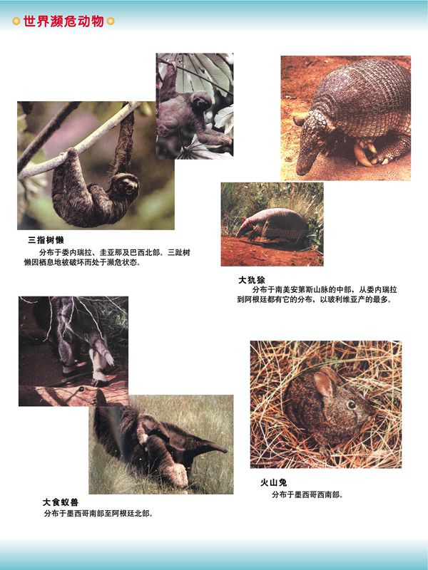 世界瀕危動(dòng)物