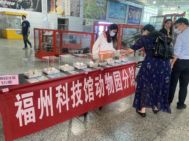 福州科技館動物園分館端午節活動