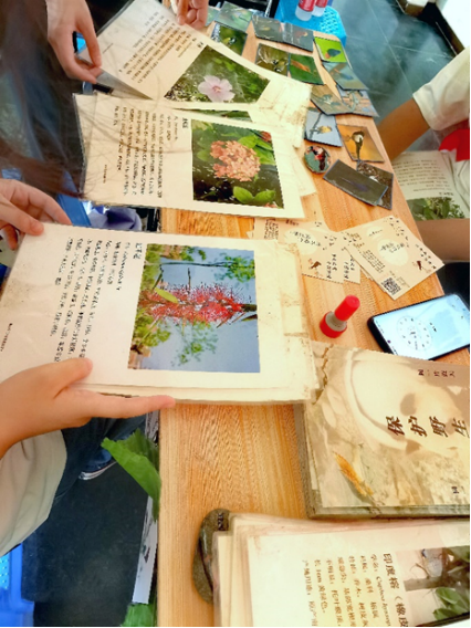 “喜迎二十大，科普向未來”2022年全國科普日活動——推動野生動植物，推進生態文明建設