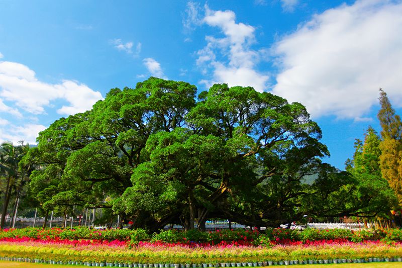植物園知識分館