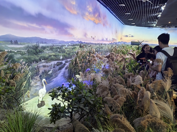 “解碼候鳥遷徙 守護生命航道”閩都科普研學行成功舉辦 “解碼候鳥遷徙 守護生命航道”閩都科普研學行成功舉辦