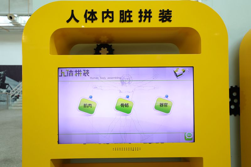 人體內臟拼裝