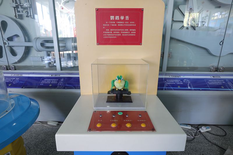 鸚鵡學舌