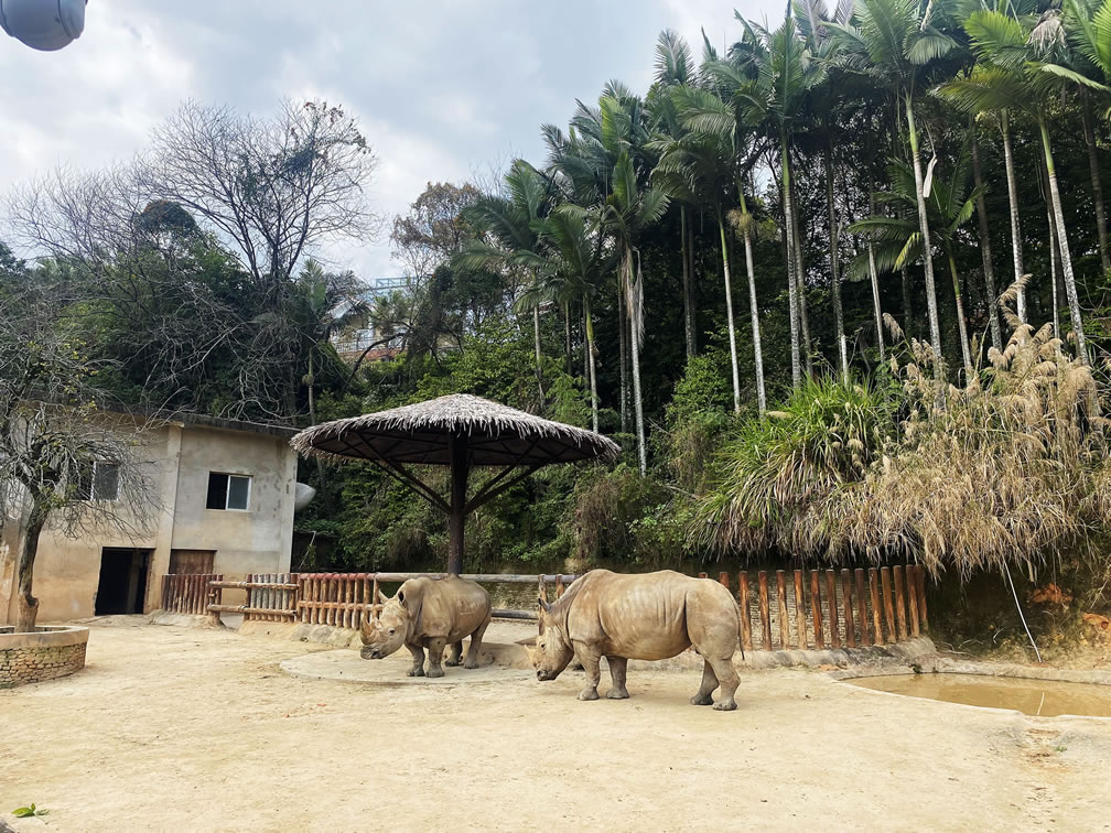 動物園分館