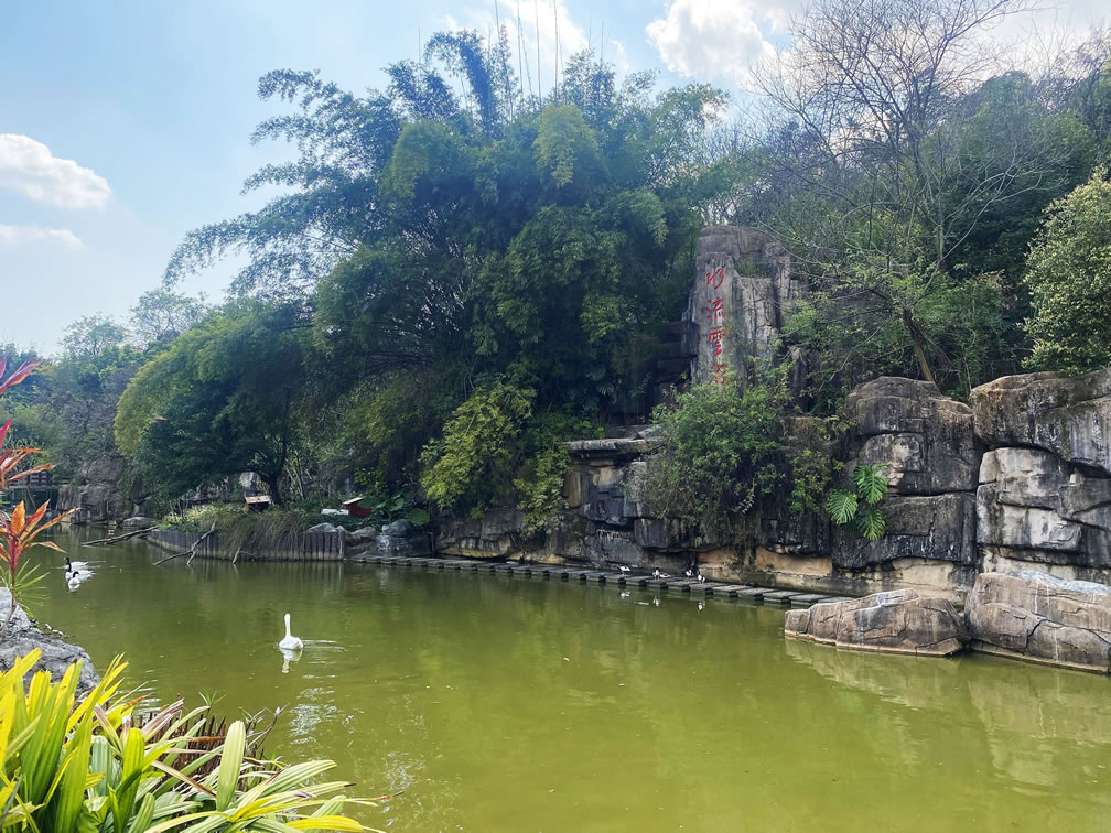 動物園分館