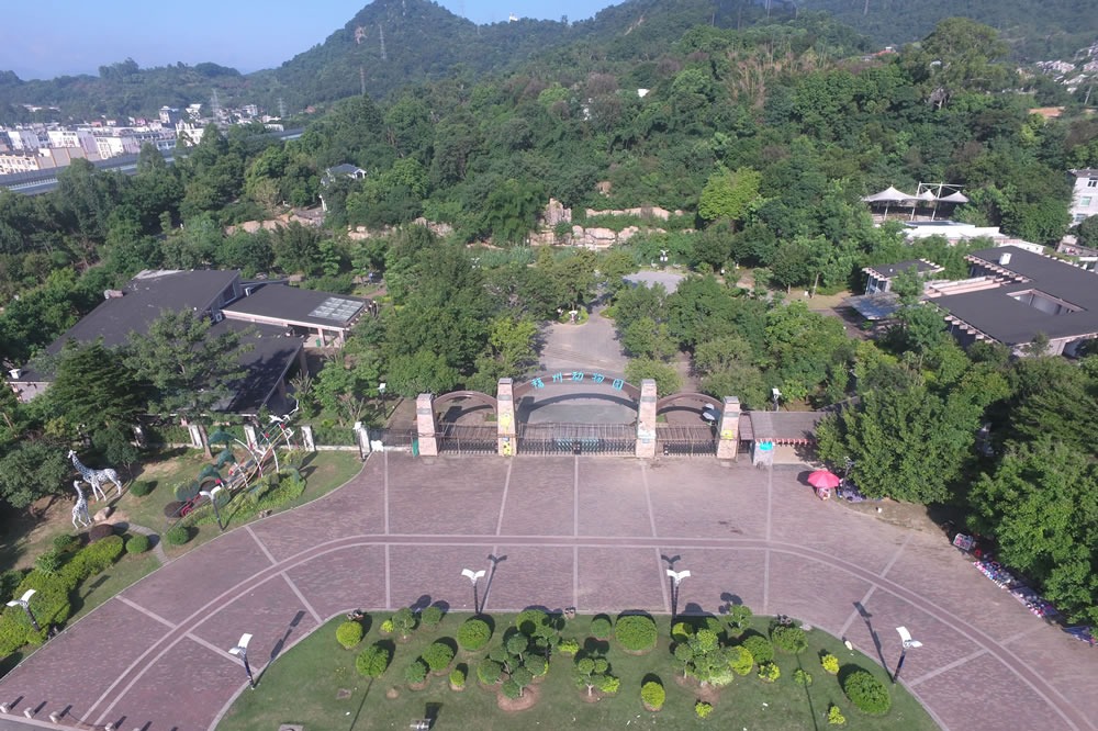 動(dòng)物園分館