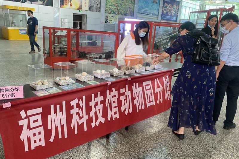 福州科技館動(dòng)物園分館端午節(jié)活動(dòng)