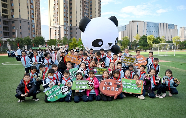 探索大熊貓的奧秘：福州科技館大熊貓分館科普活動走進高新區實驗小學