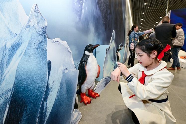 “身臨極境—南極起航”特展啟幕 來福州科技館賞南極風光