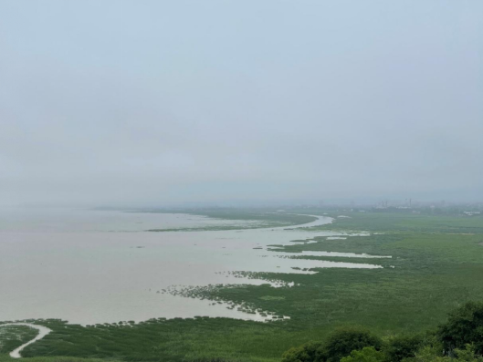 閩江河口濕地保護(hù)20年系列活動(dòng)之“守護(hù)濕地，你我同行”
