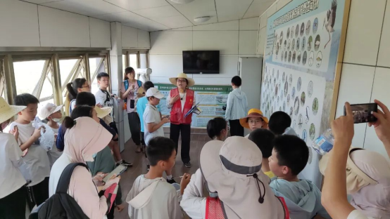 閩江河口濕地舉行2022年全國(guó)科普日暨國(guó)際海岸清潔日科普宣教活動(dòng)