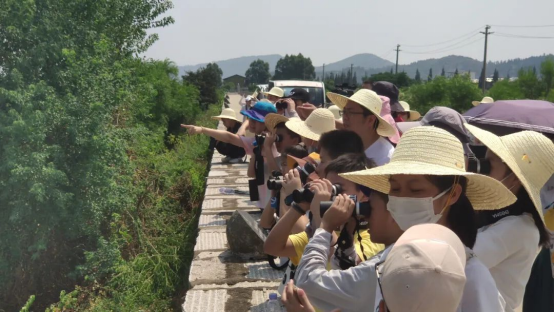 閩江河口濕地舉行2022年全國(guó)科普日暨國(guó)際海岸清潔日科普宣教活動(dòng)