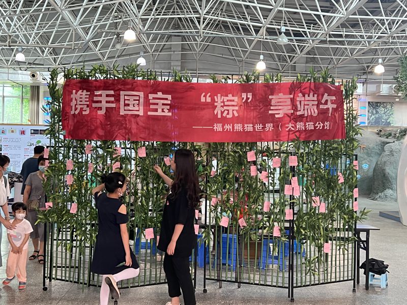 海峽（福州）大熊貓研究中心開(kāi)展 “攜手國(guó)寶，“粽”享端午”科普活動(dòng)